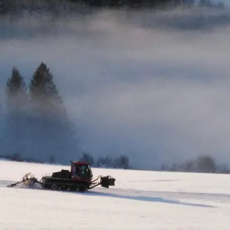 Astrid's Konukevi Winterberg