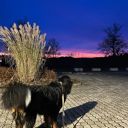 Astrid's Pensionat Winterberg