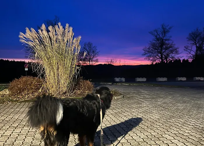 Astrid's Konukevi Winterberg